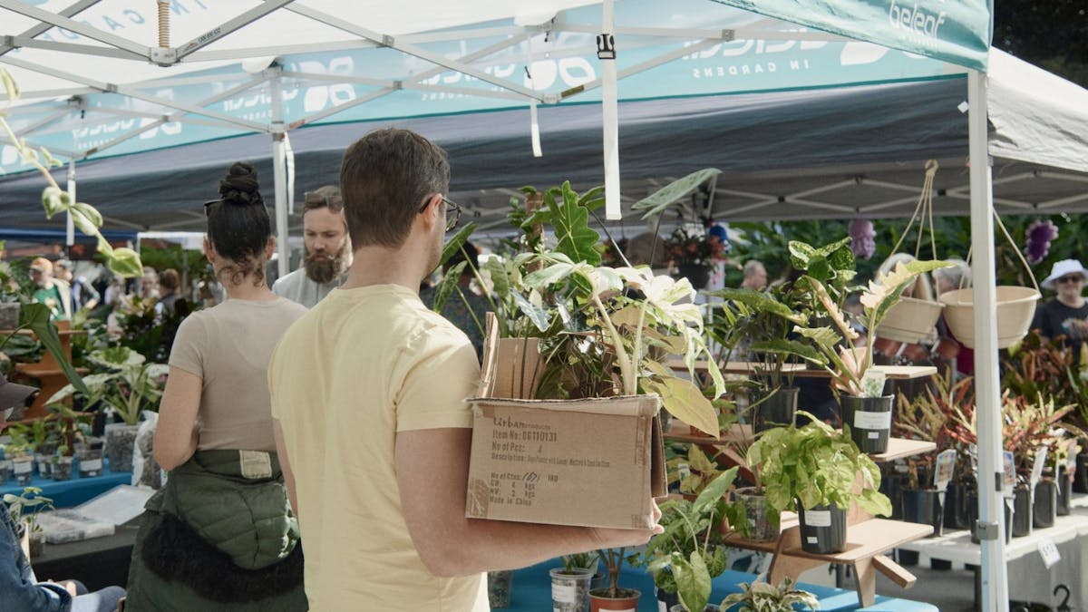 Ipswich Plant and Lifestyle Fair