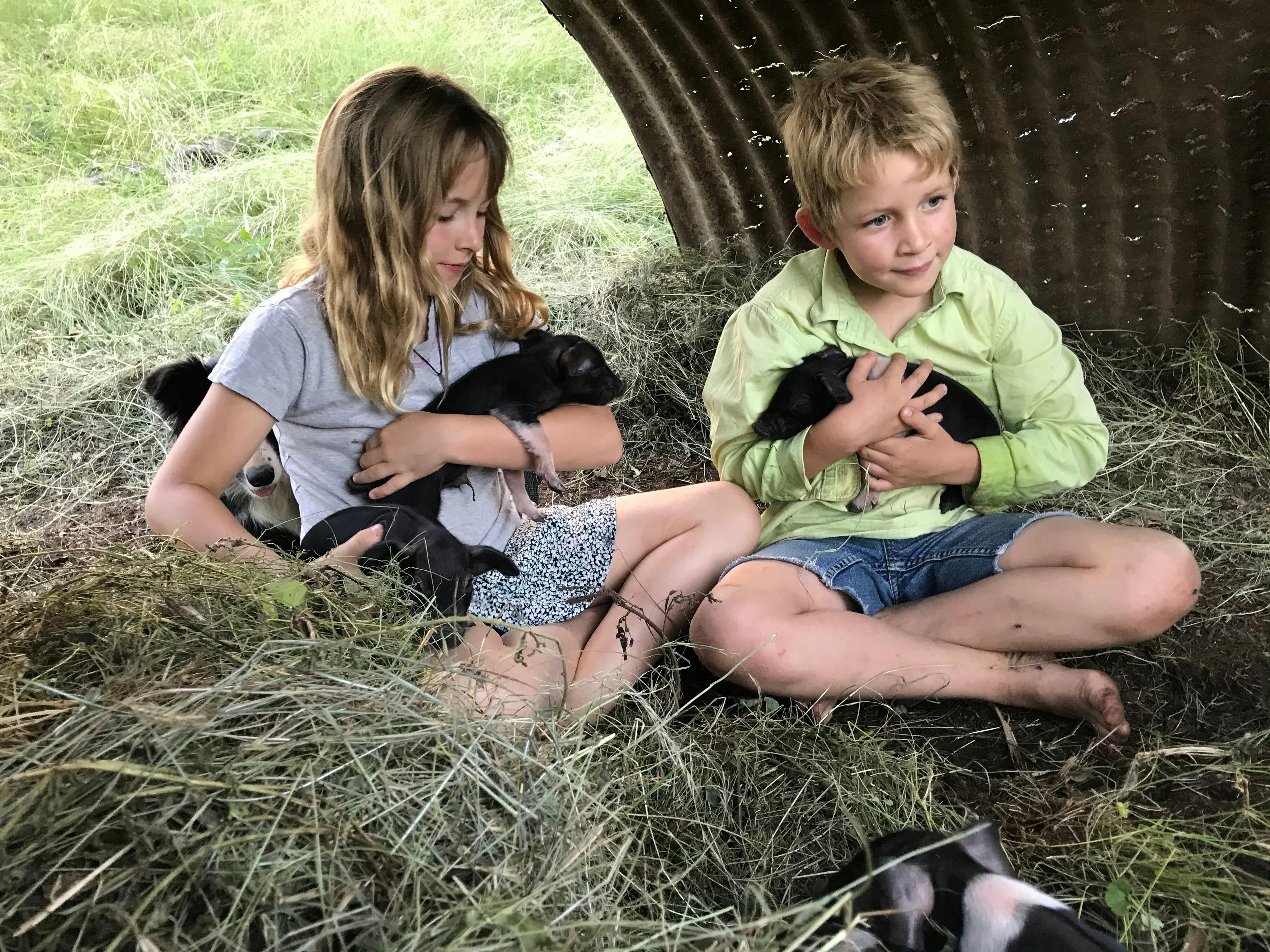 Children holding piglets