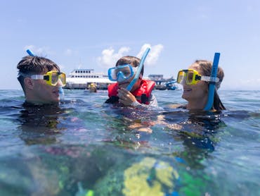 Cairns Family Reef Tour Deal | The Tour Specialists Cairns Family Reef Tour Deal | The Tour Specialists