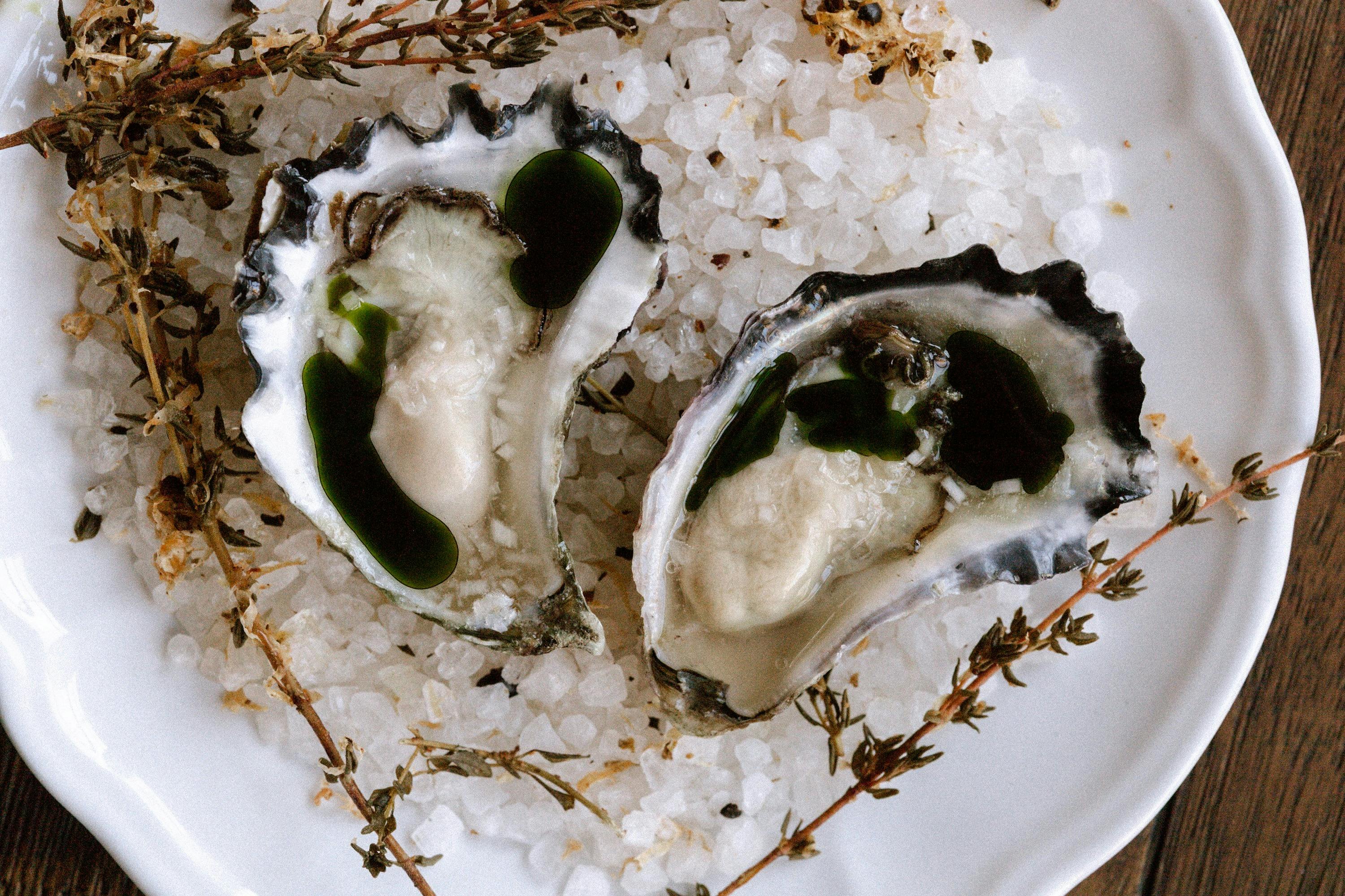 Tera Bar - Surry Hills - oysters with herb oil and grapefruit shrub
