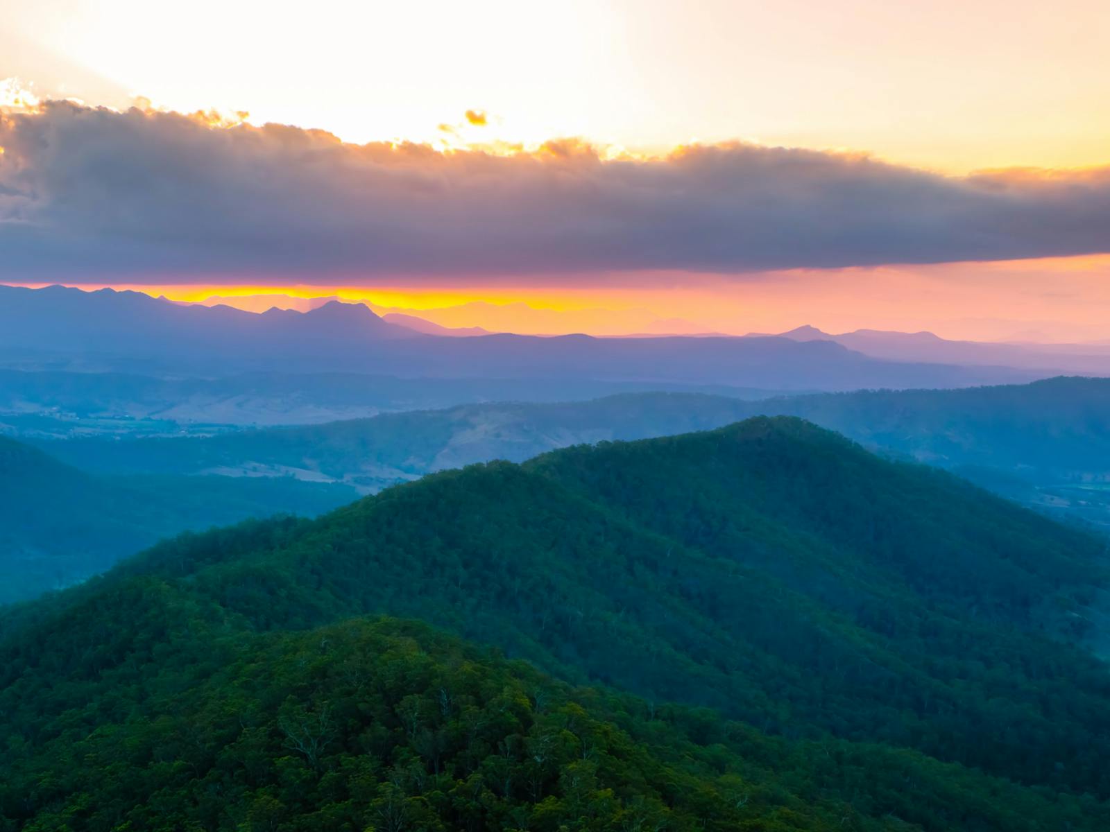 Tamborine-Lamington Circuit