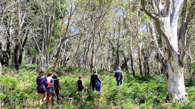 Group of kids and adults hiking in single file through Australian bush landscape