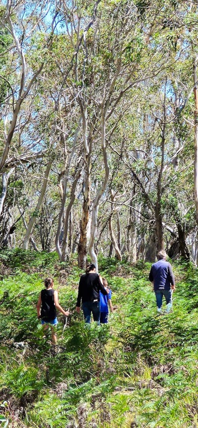 Group of kids and adults hiking in single file through Australian bush landscape