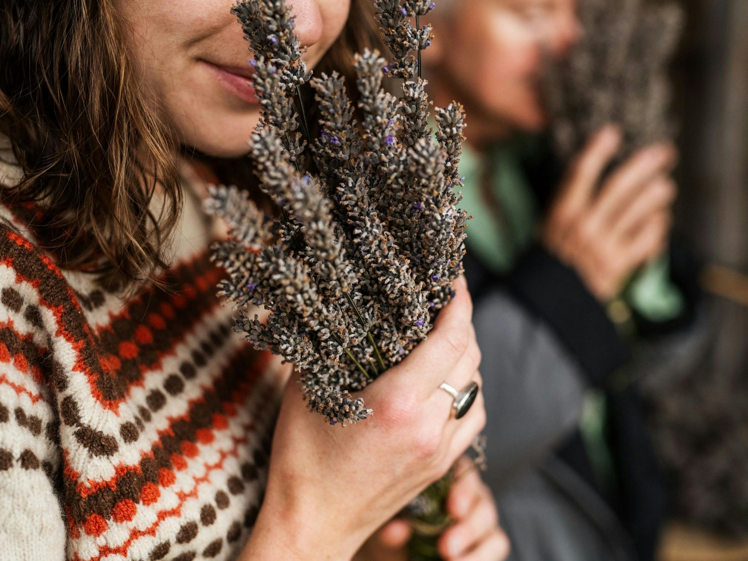 A visitor holding a bundle of lavender during a farm experience at Lavender Goat Farm.