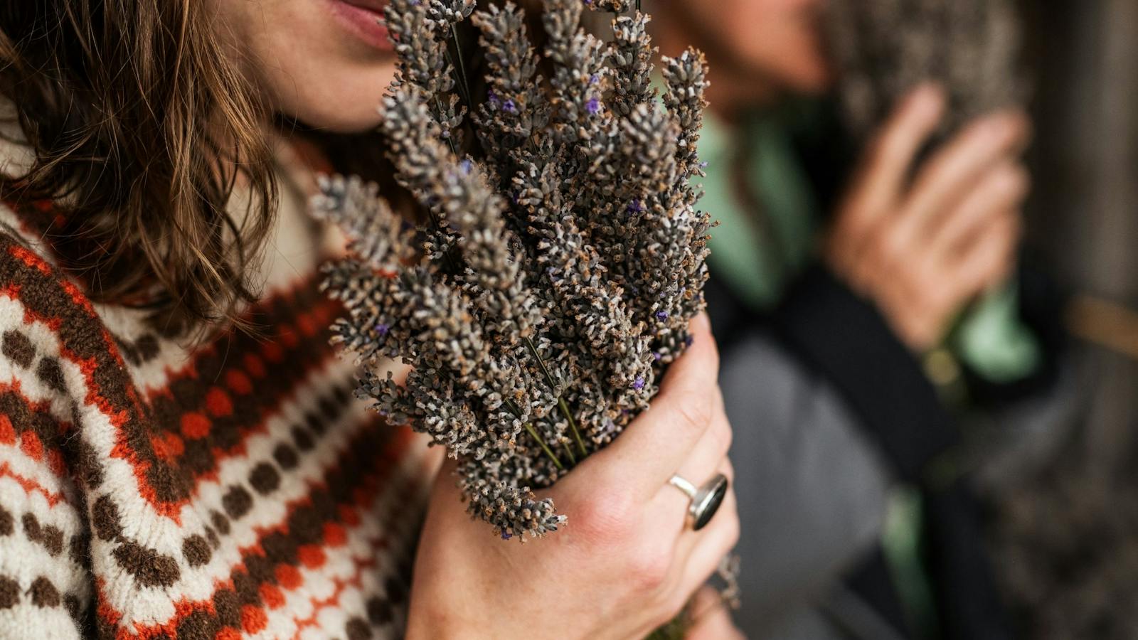 Experiencing the fragrance of farm-grown lavender at Lavender Goat Farm.