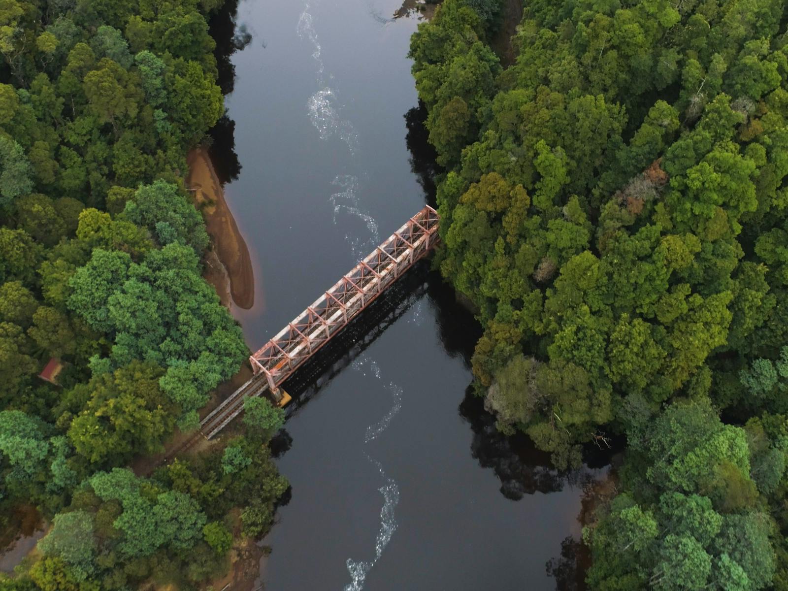 Drone image of bridge in rainforest