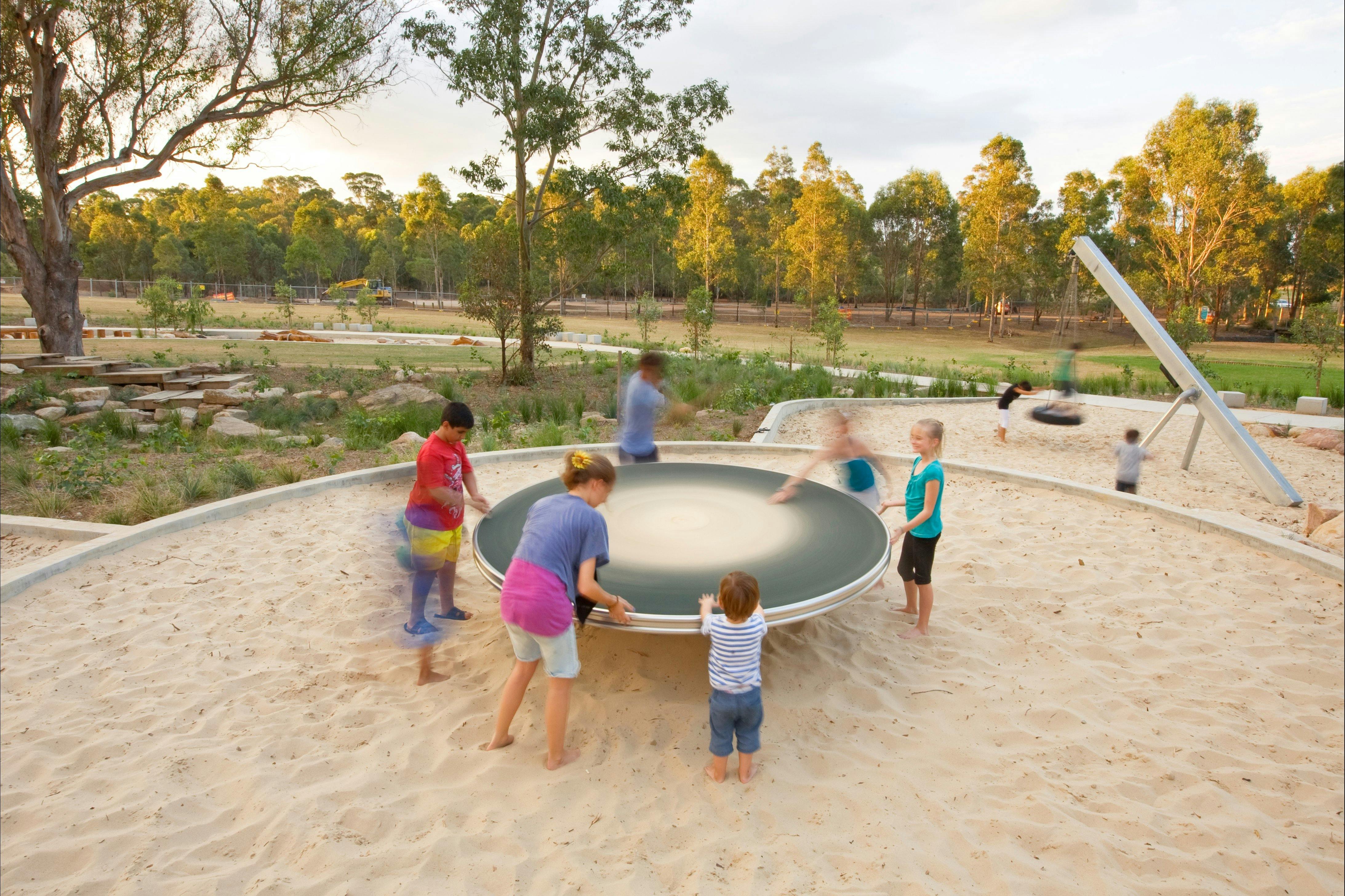 西悉尼公園的蜥蜴原木