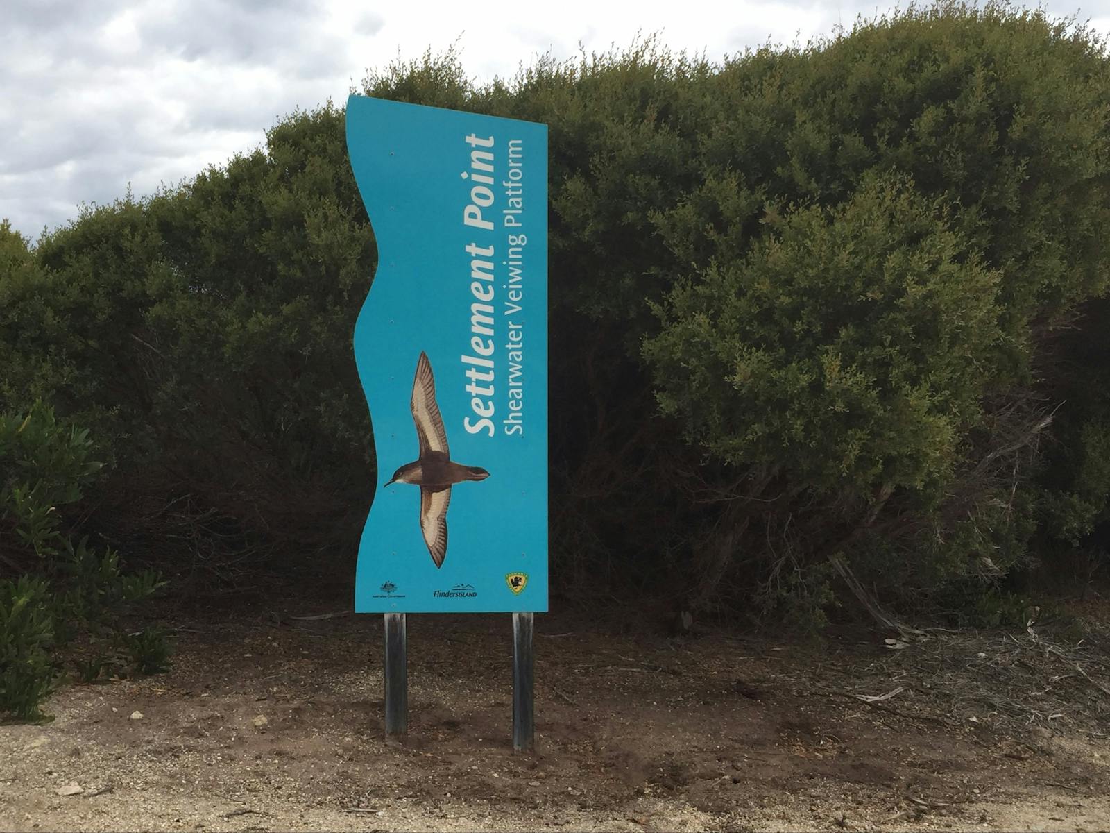 Settlement Point Shearwater Viewing Platform Flinders Island Tasmania