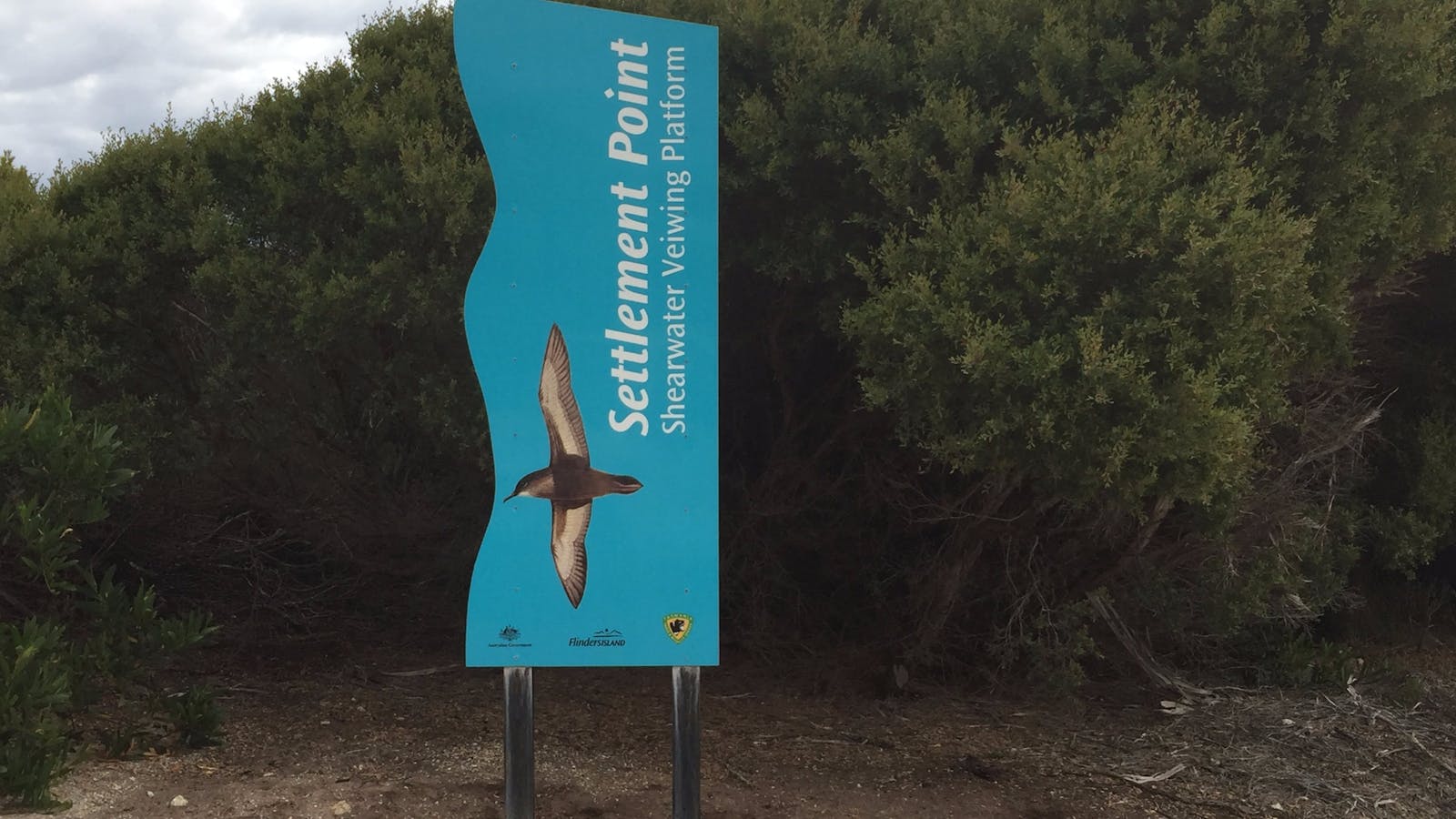 Settlement Point Viewing Platform