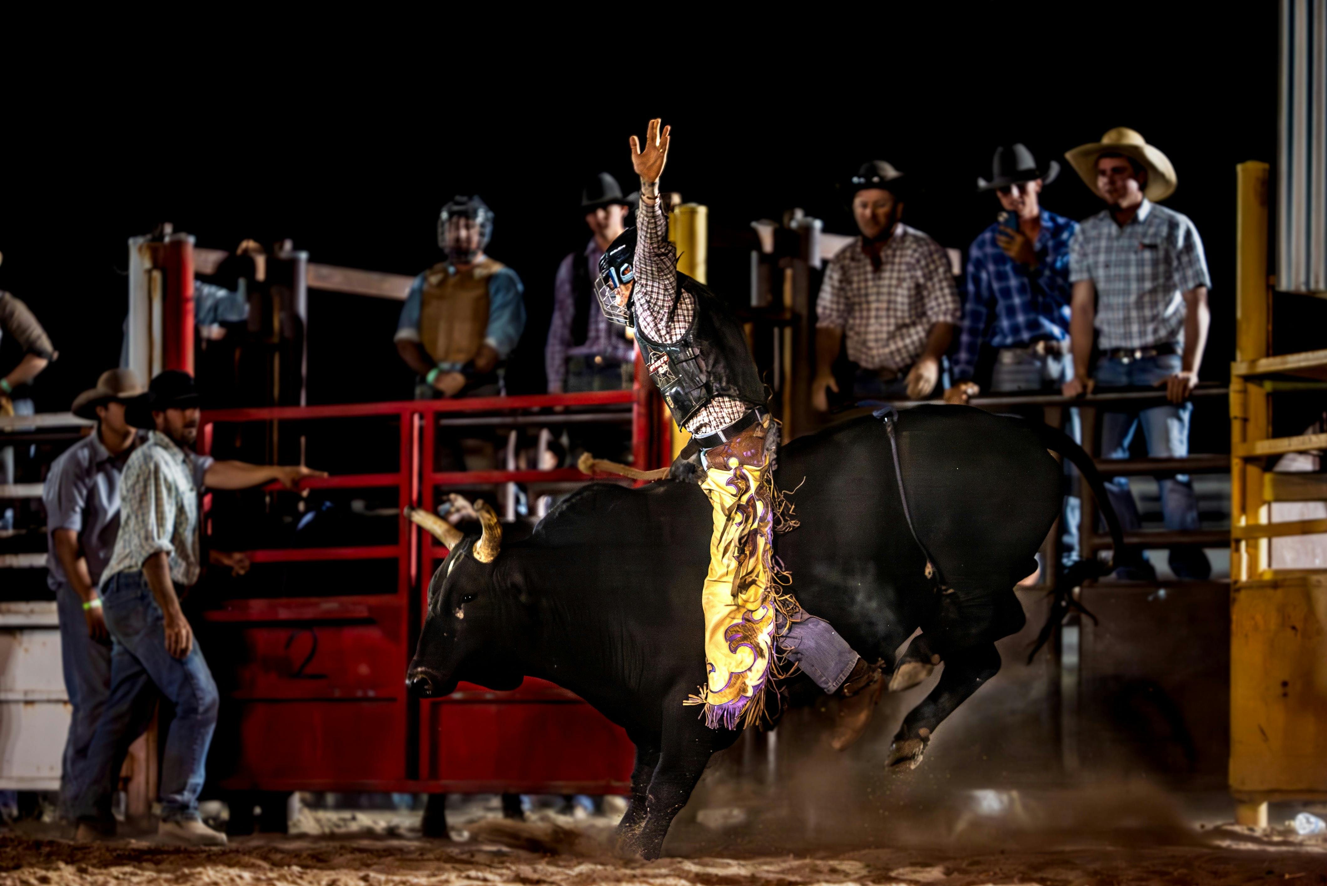 Bedourie Campdraft, Rodeo, Gymkhana