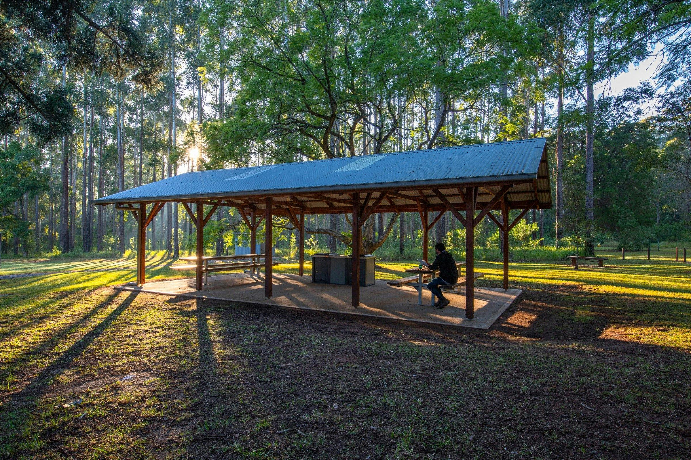 Morning sun at Coopernook