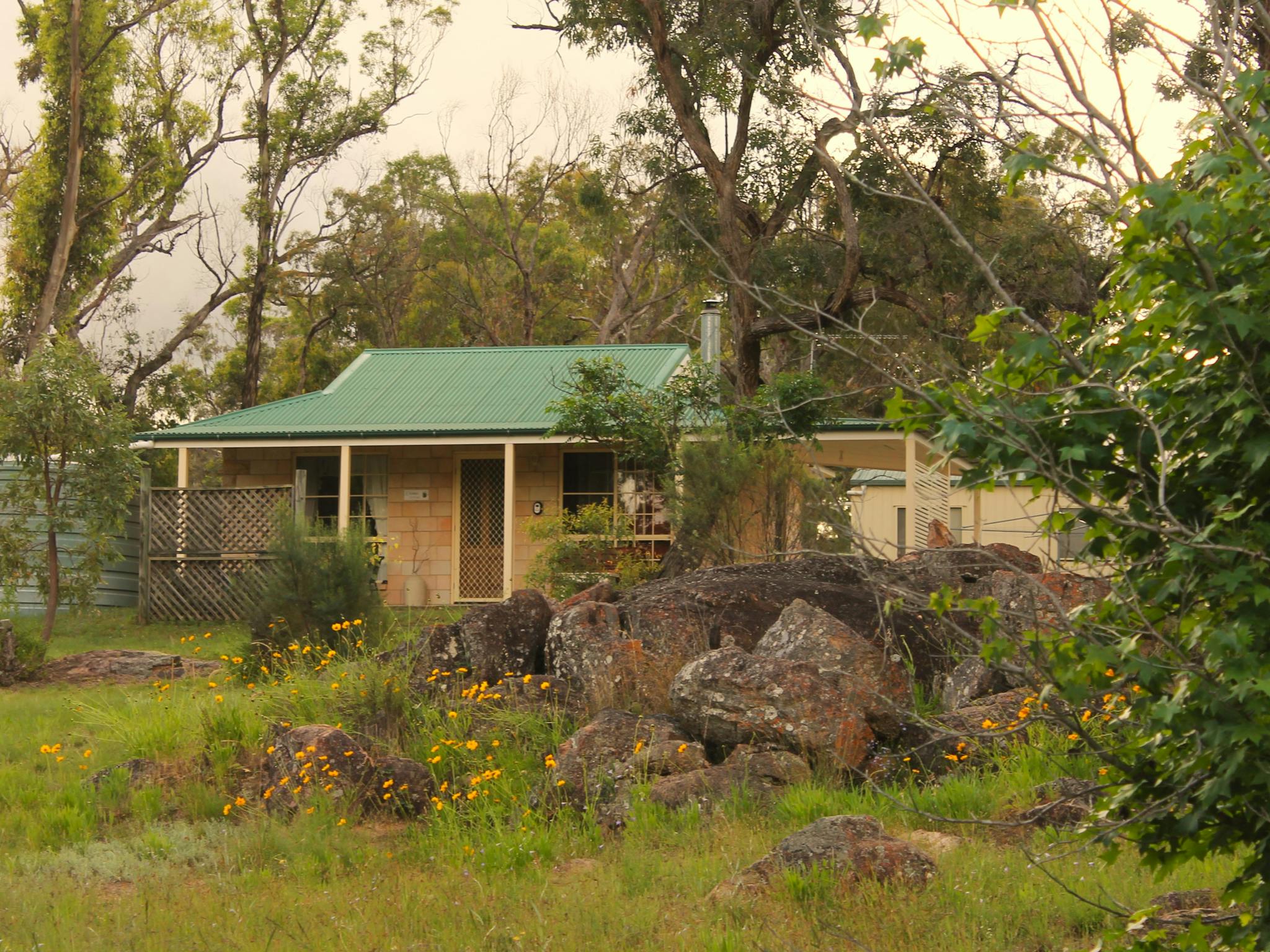 Front of Catbird Cottage, nestled amongst trees and rocks Front of Catbird Cottage, nestled amongst trees and rocks