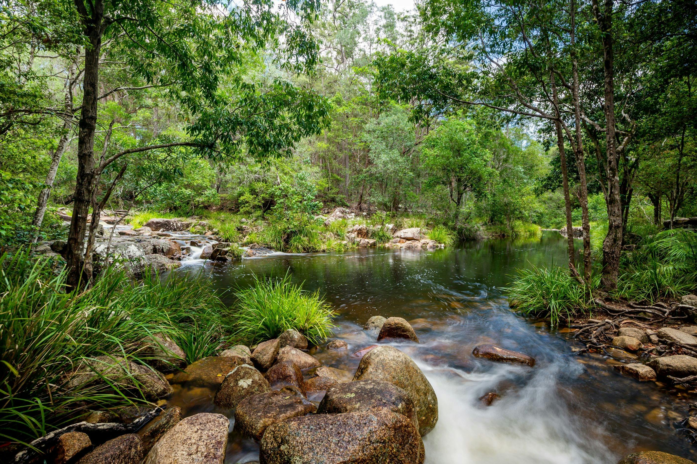 Rockpools and river flowing