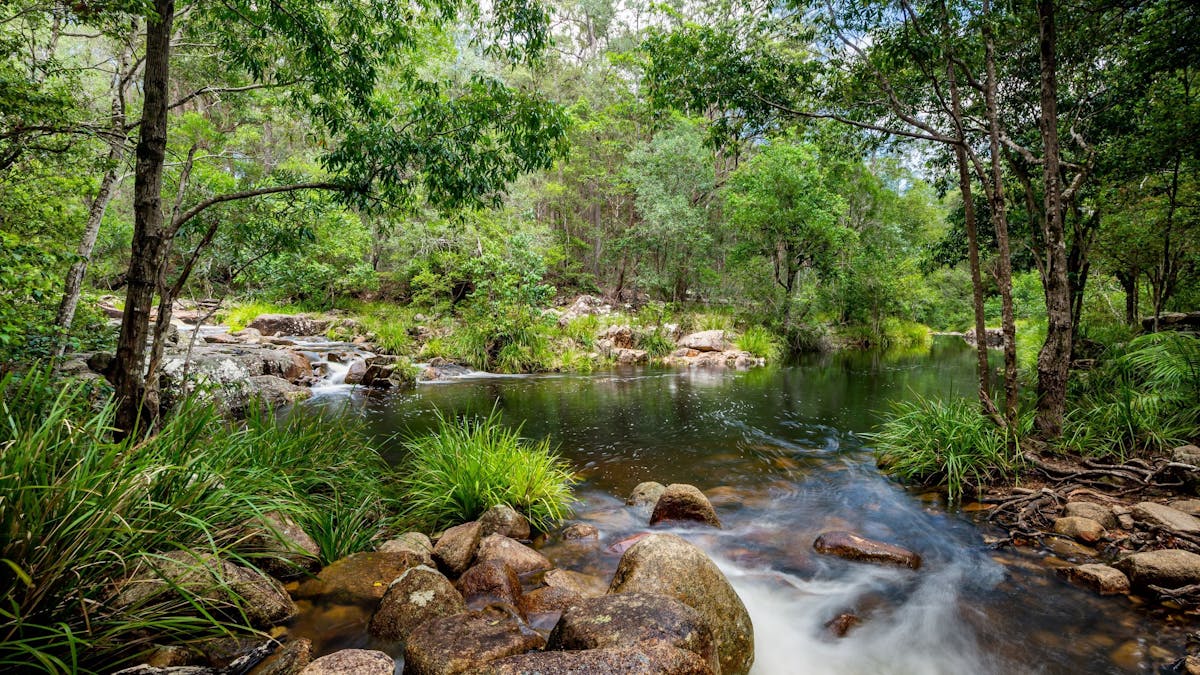 Bushland surrounding rockpools