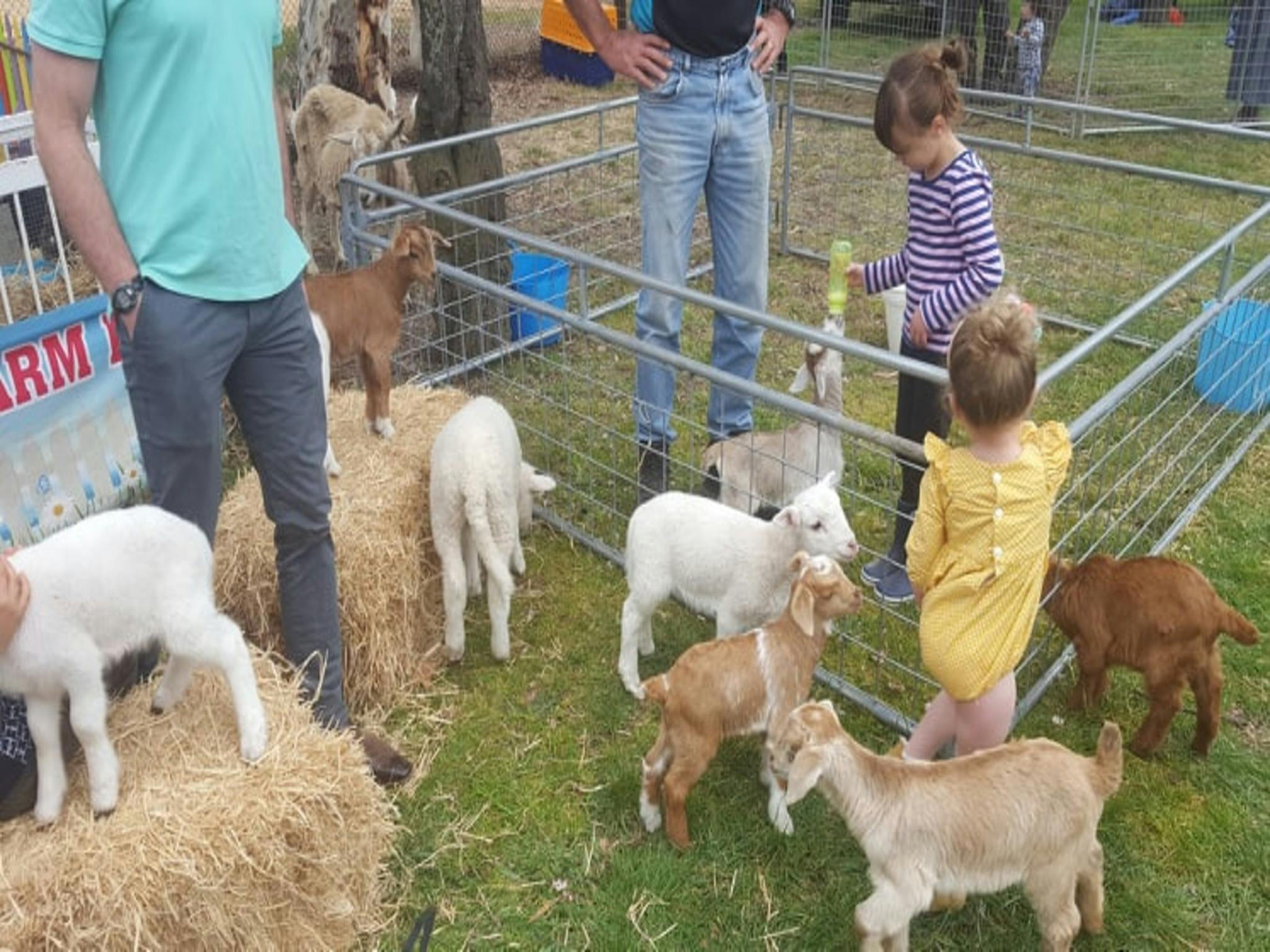 Animal Farm Visit NSW Holidays & Things to Do