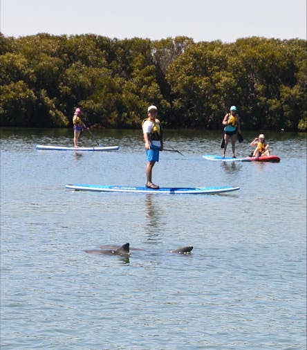 Stand Up Paddle Board Experience