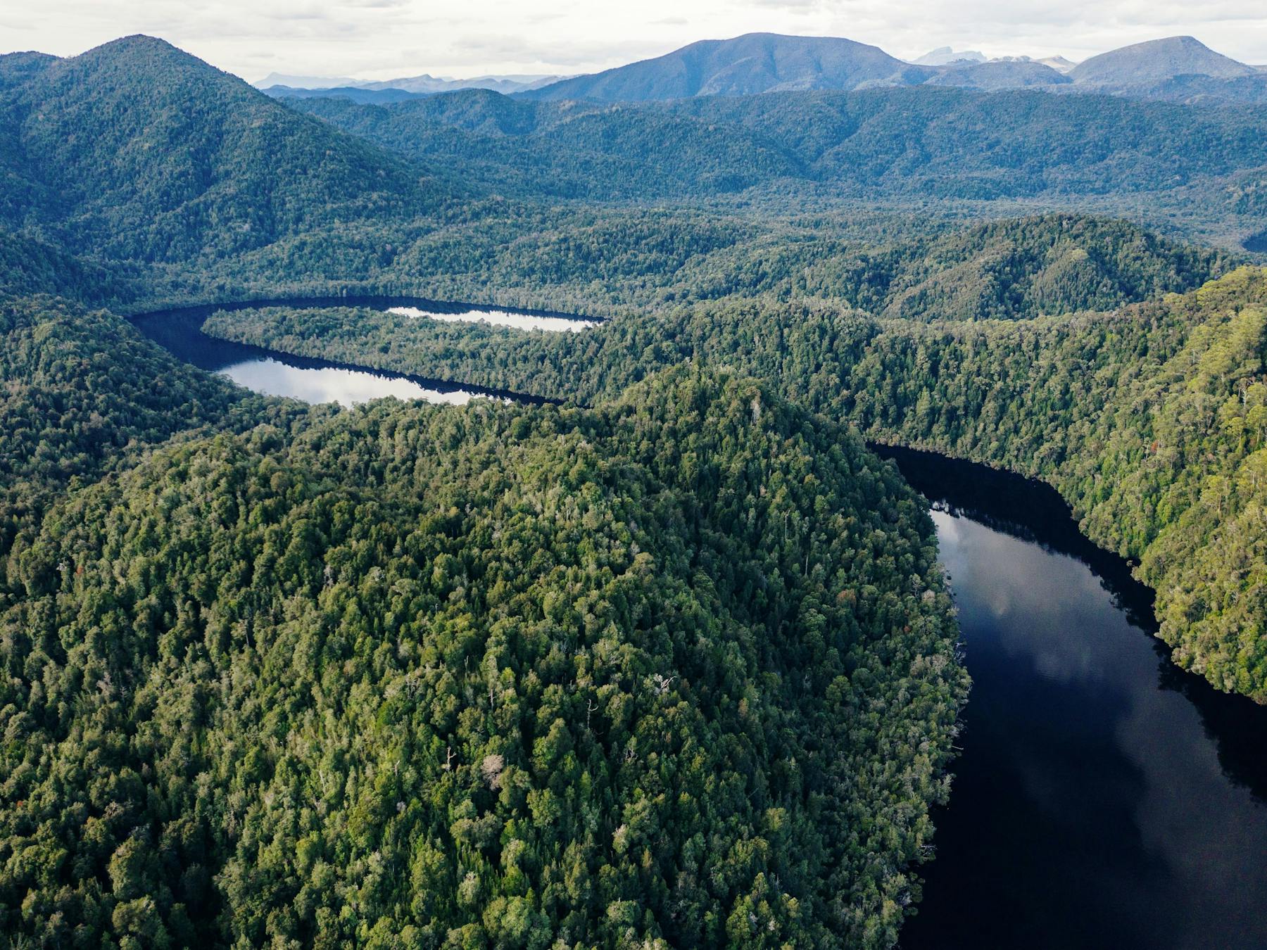 Cruise deep into Tasmania's UNESCO World Heritage Wilderness
