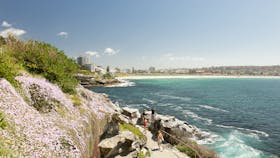 Bondi to Coogee Coastal Walk