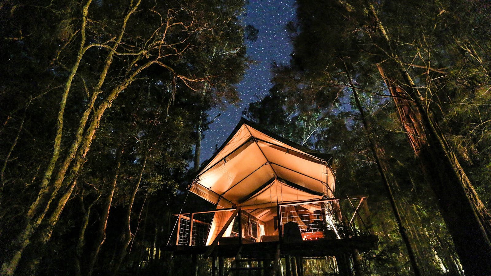 Under a starry sky at Paperbark Camp