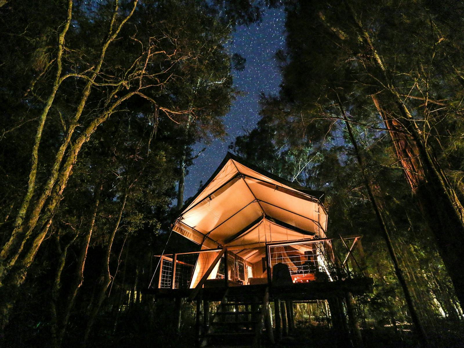 Under a starry sky at Paperbark Camp
