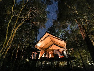 Paperbark Camp