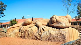 Dubbo Regional Botanic Garden