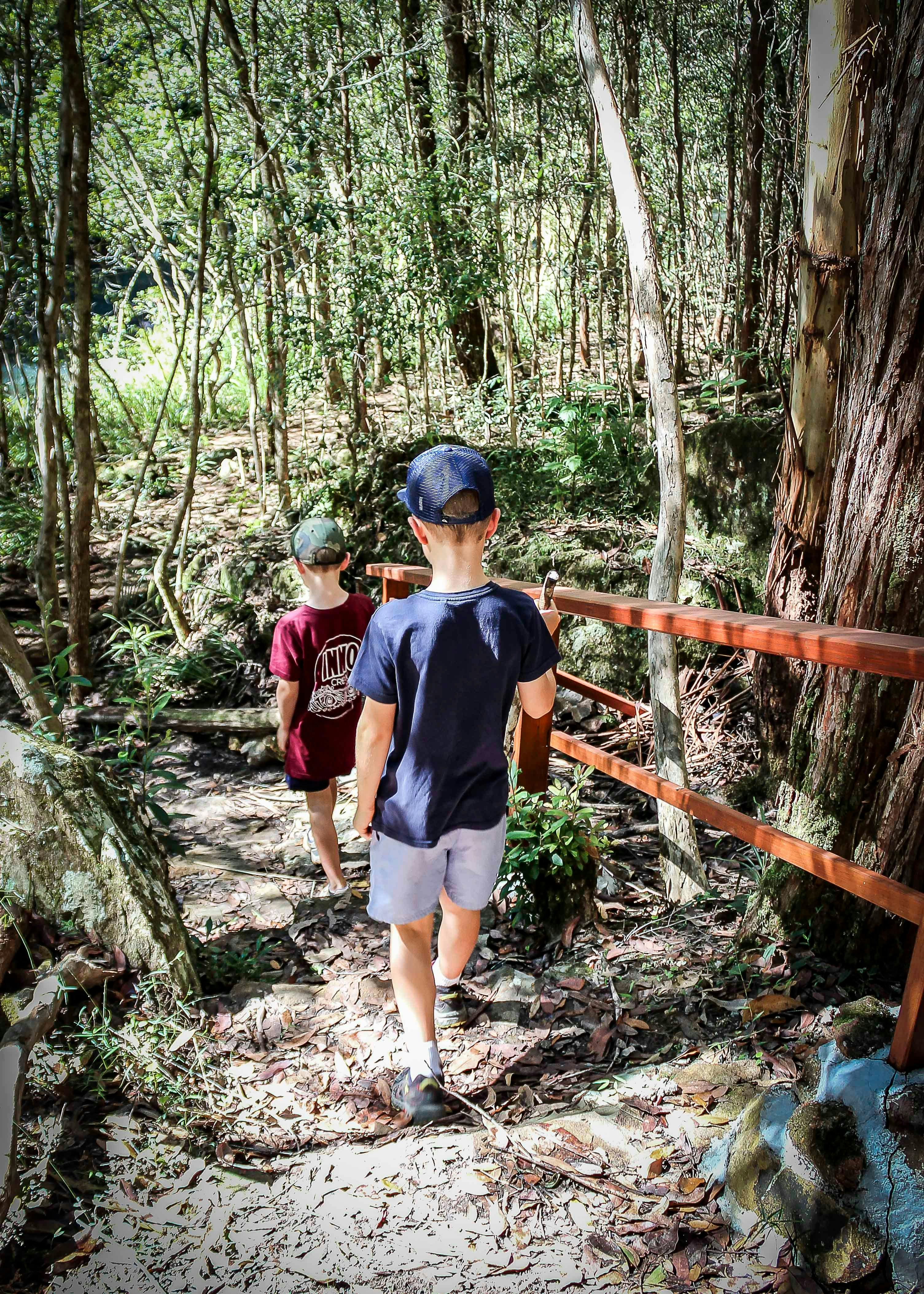 凯里翁州立森林的卡斯卡德步行道
