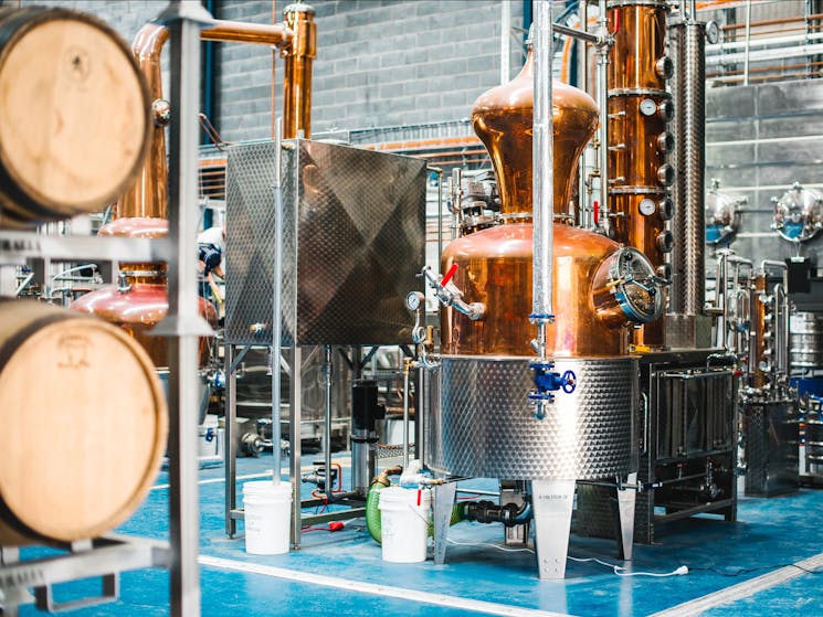 Manly Spirits Co. Distillery Gin Still - Bella