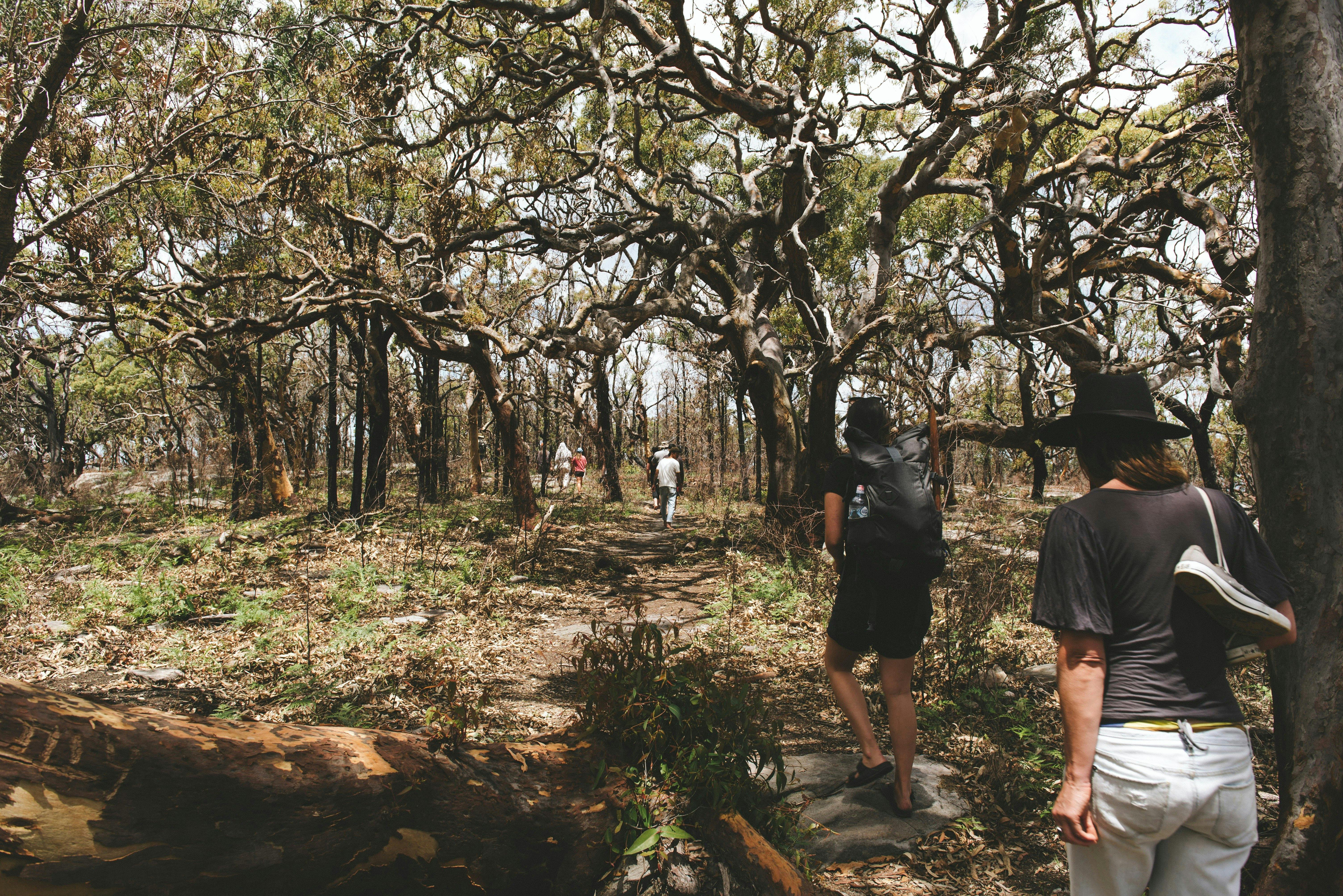 National Park guided tours