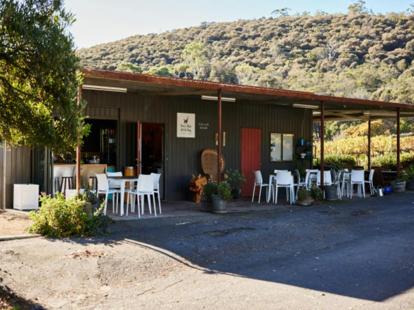 Come and Enjoy Wine and Chocolate Pairings