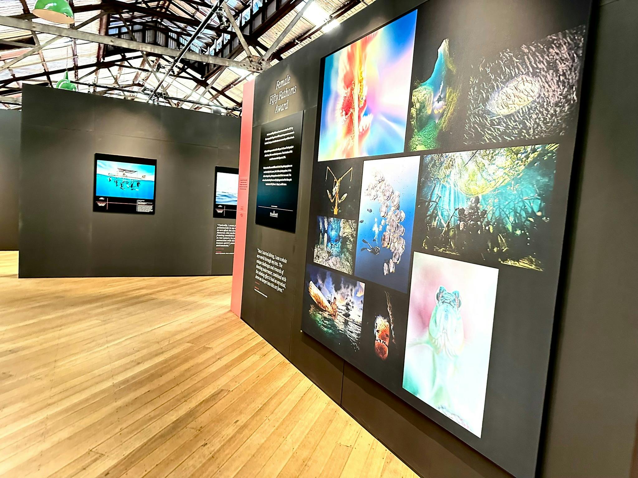 gallery images