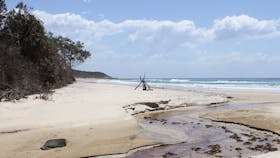 Shelley Beach