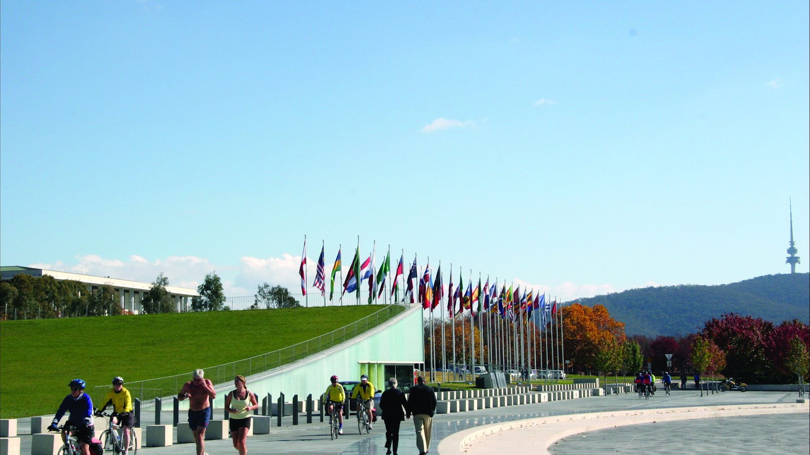 International Flag Display