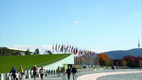 International Flag Display