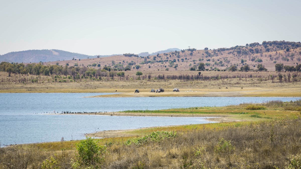 Lake Callide contains birds