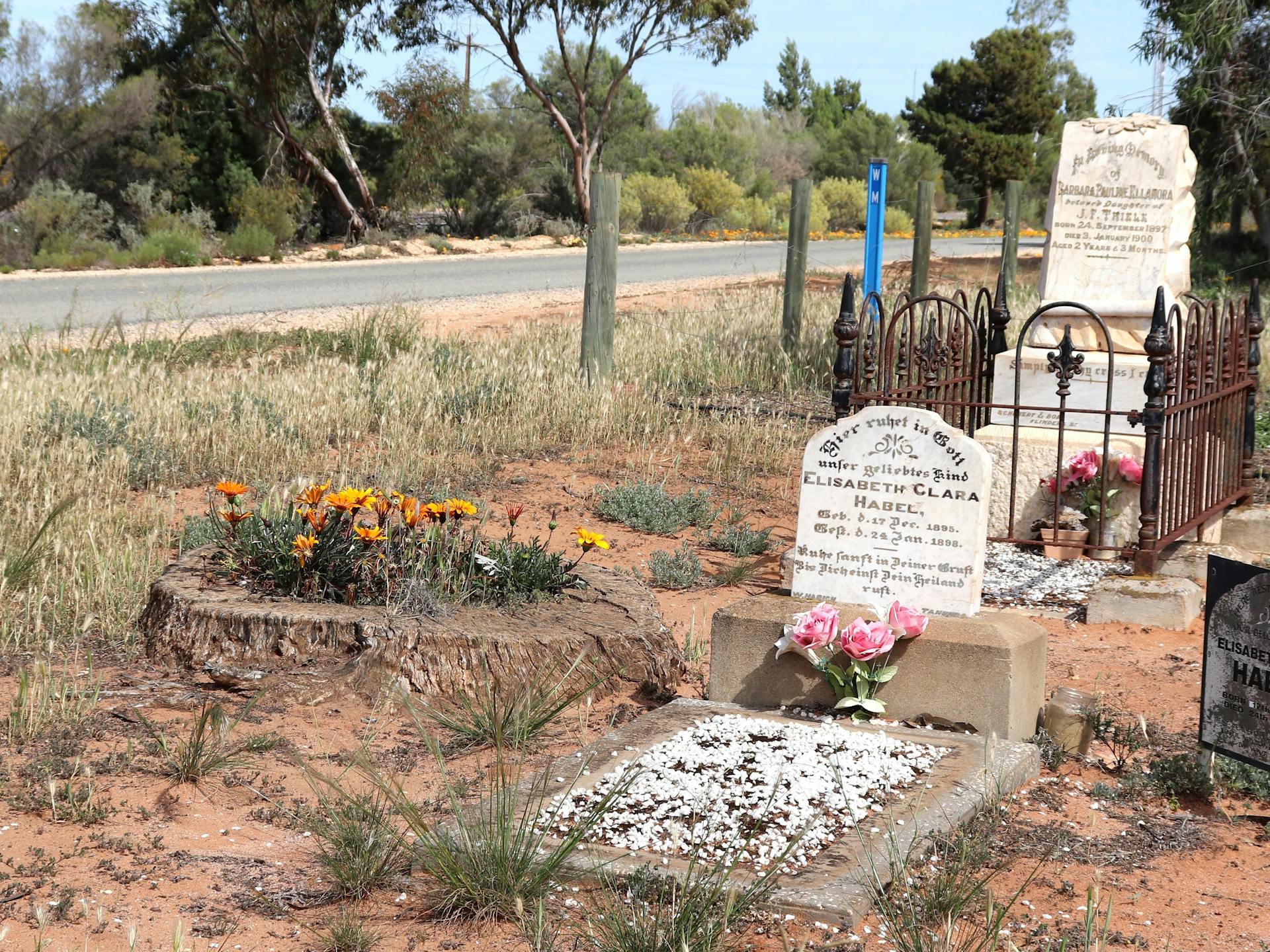 Pioneer Landing Drive Graves in Loxton - The Fold: Your Guide to ...