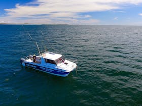 Boat in the Ocean