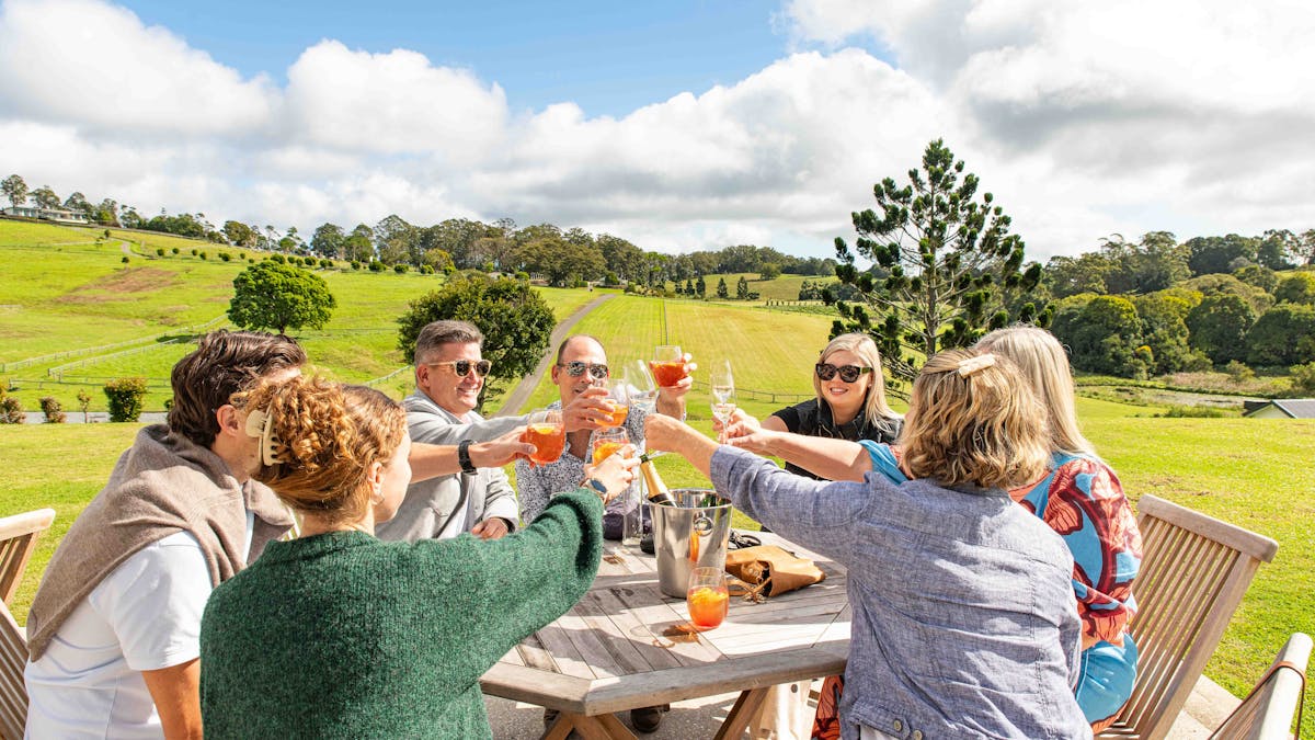 Group of people sitting at an outdoor table clinking their glasses together and smiling