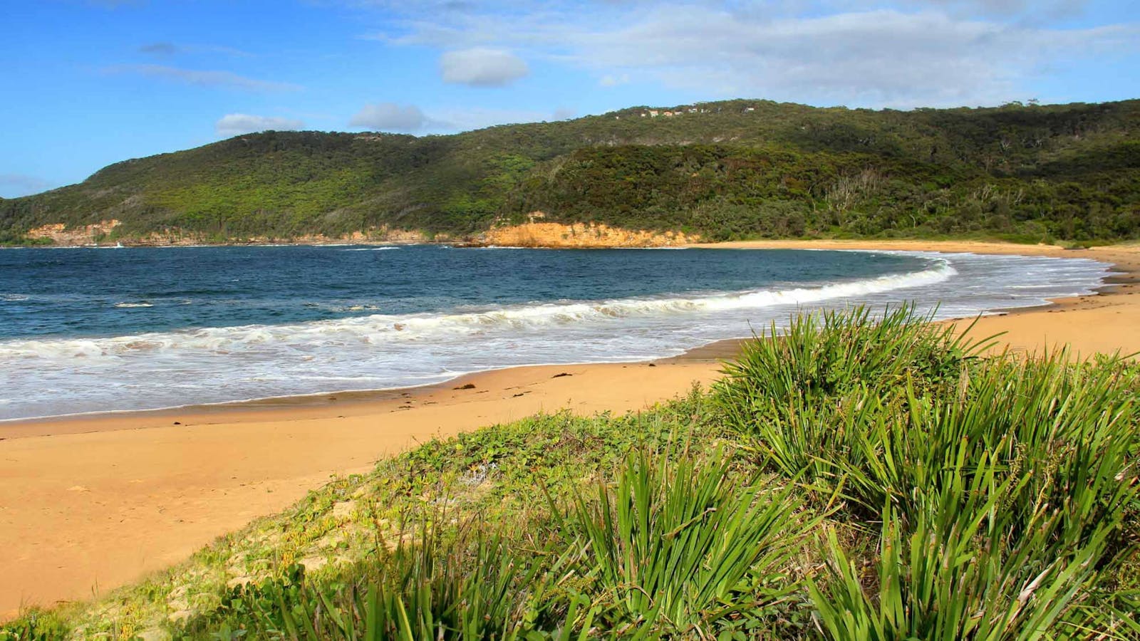 Maitland Bay Track