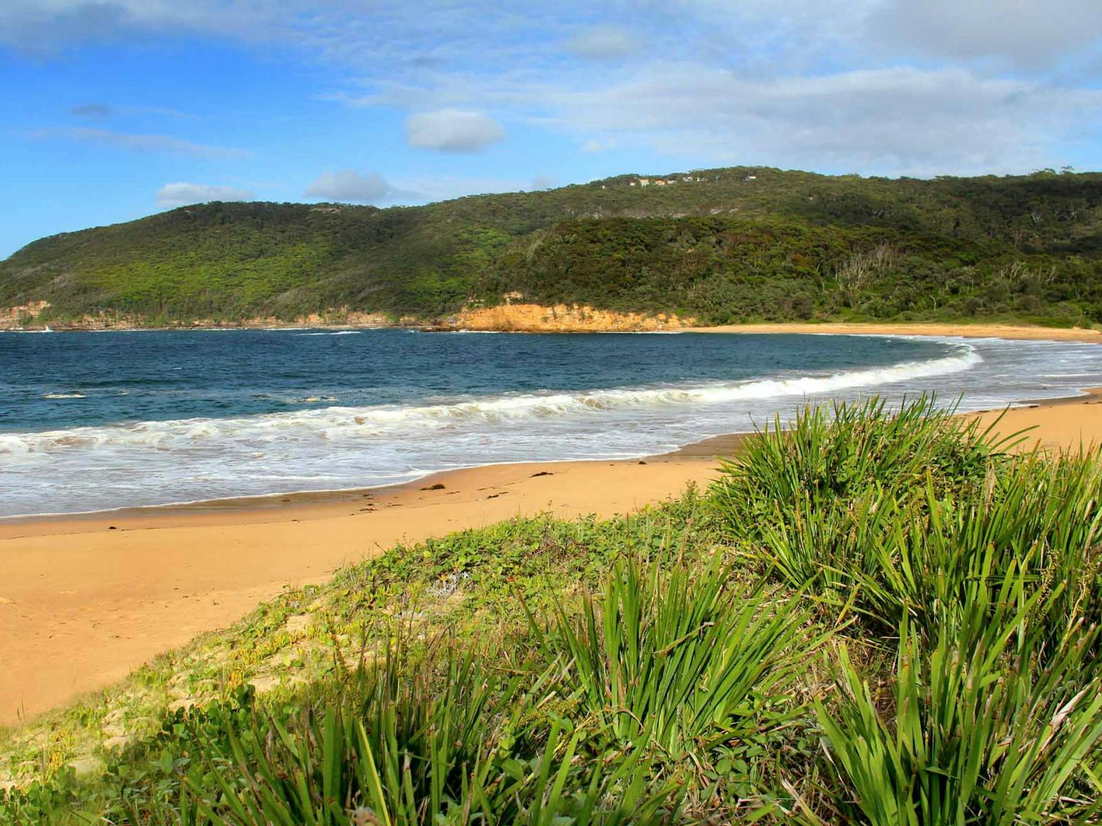 Blick entlang des Strandes zur Landzunge. Foto: John Yurasek