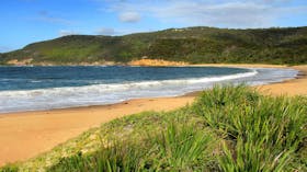 Maitland Bay Track