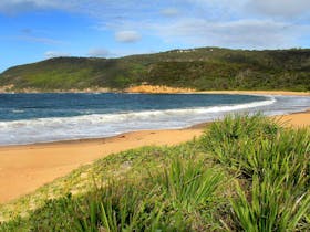 Maitland Bay Track