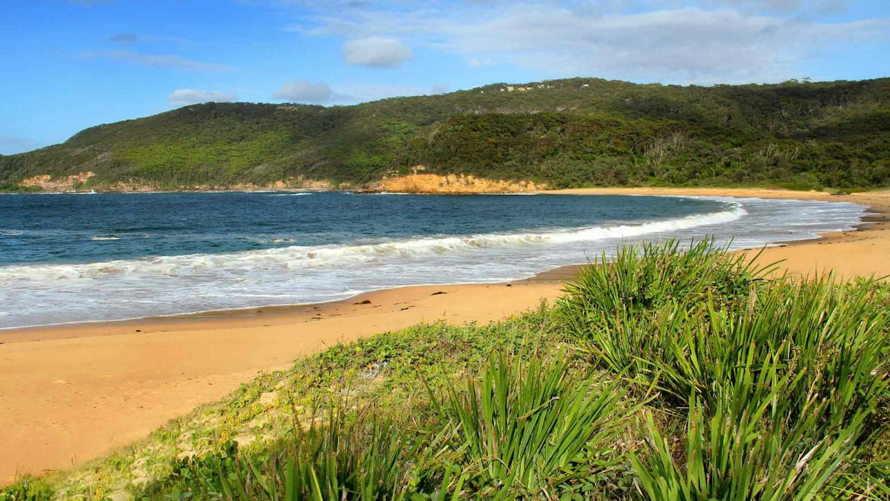 Maitland Bay Track