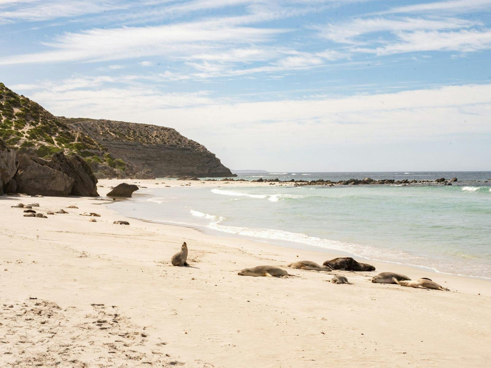 Australian Geographic Travel Slider Image 5