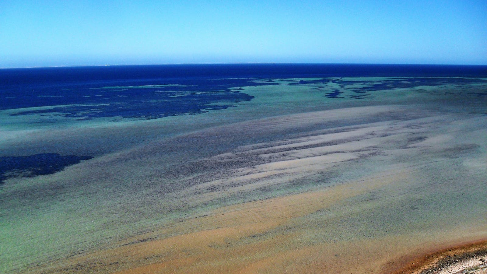 Eagle Bluff