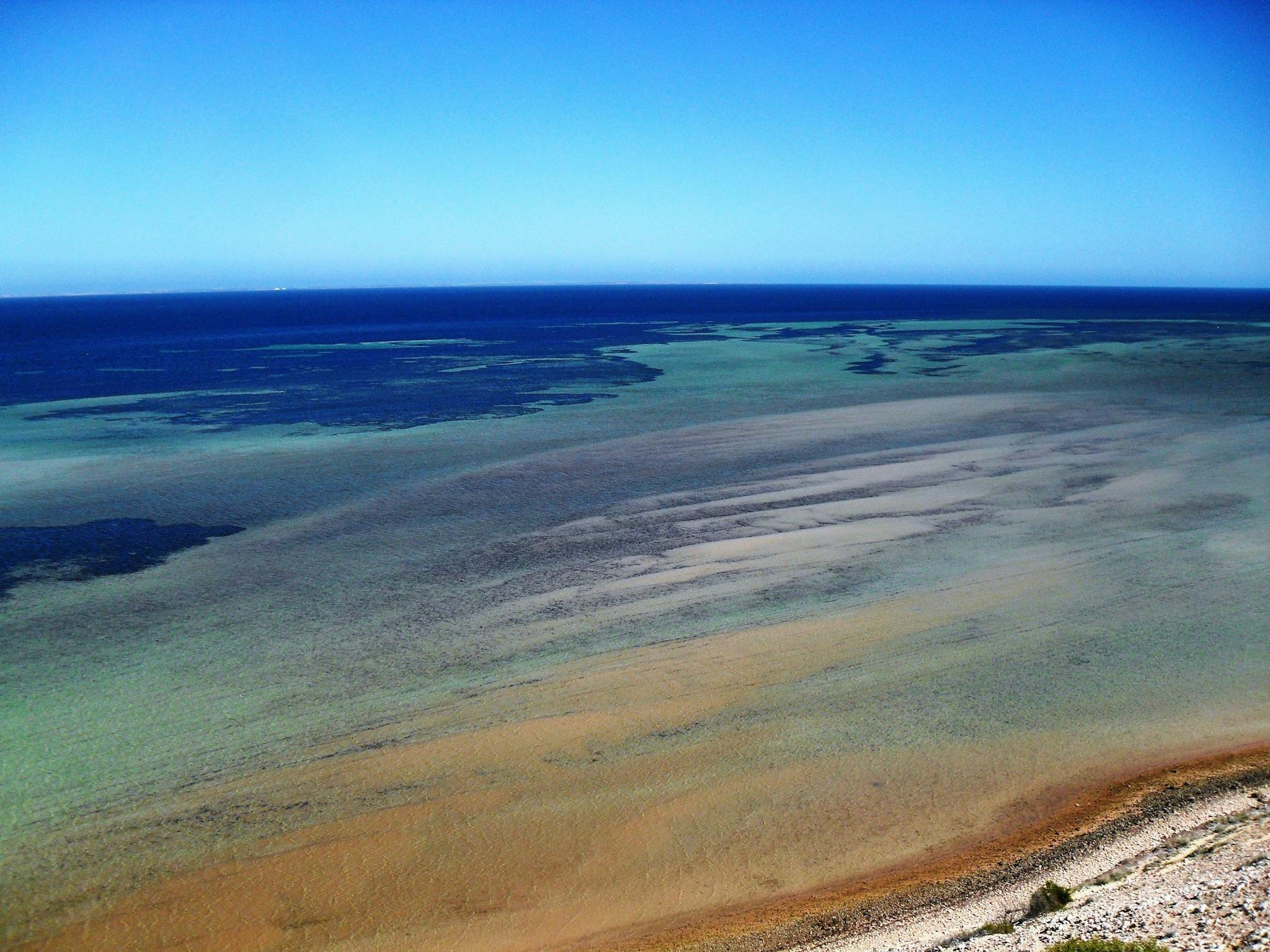 Eagle Bluff, Denham, Western Australia