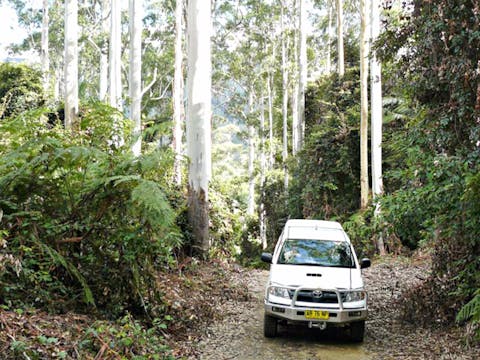 Orara Escarpment 4WD Touring Route