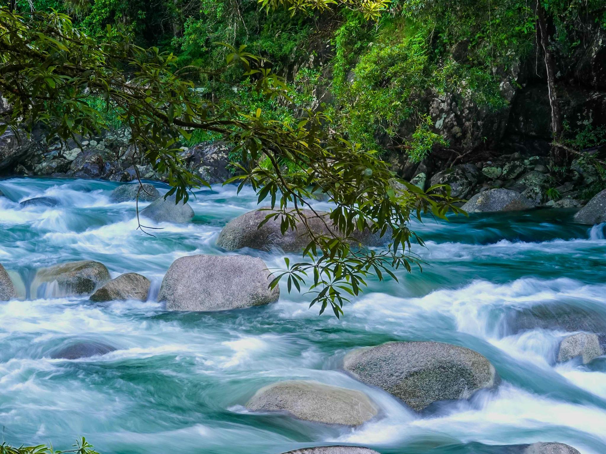 mossman gorge mossman gorge