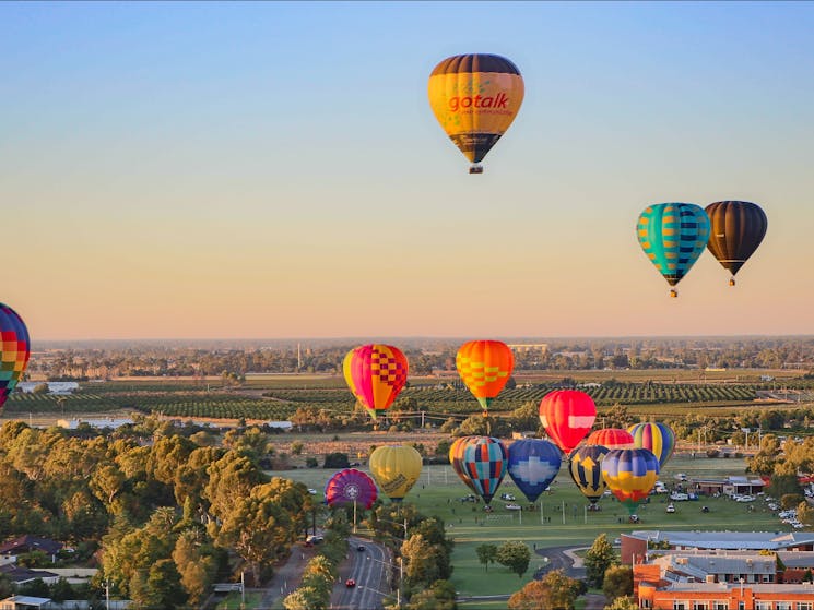 Over 20 hot air balloons are expected in 2018!