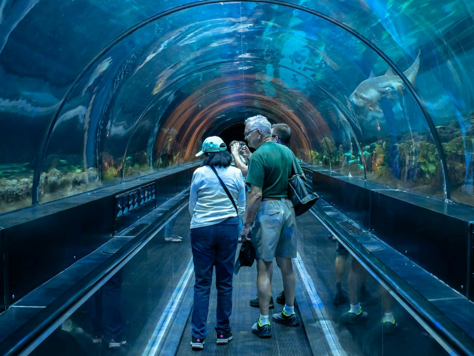 SEA LIFE Aquarium – Family Fun with Ocean Wonders